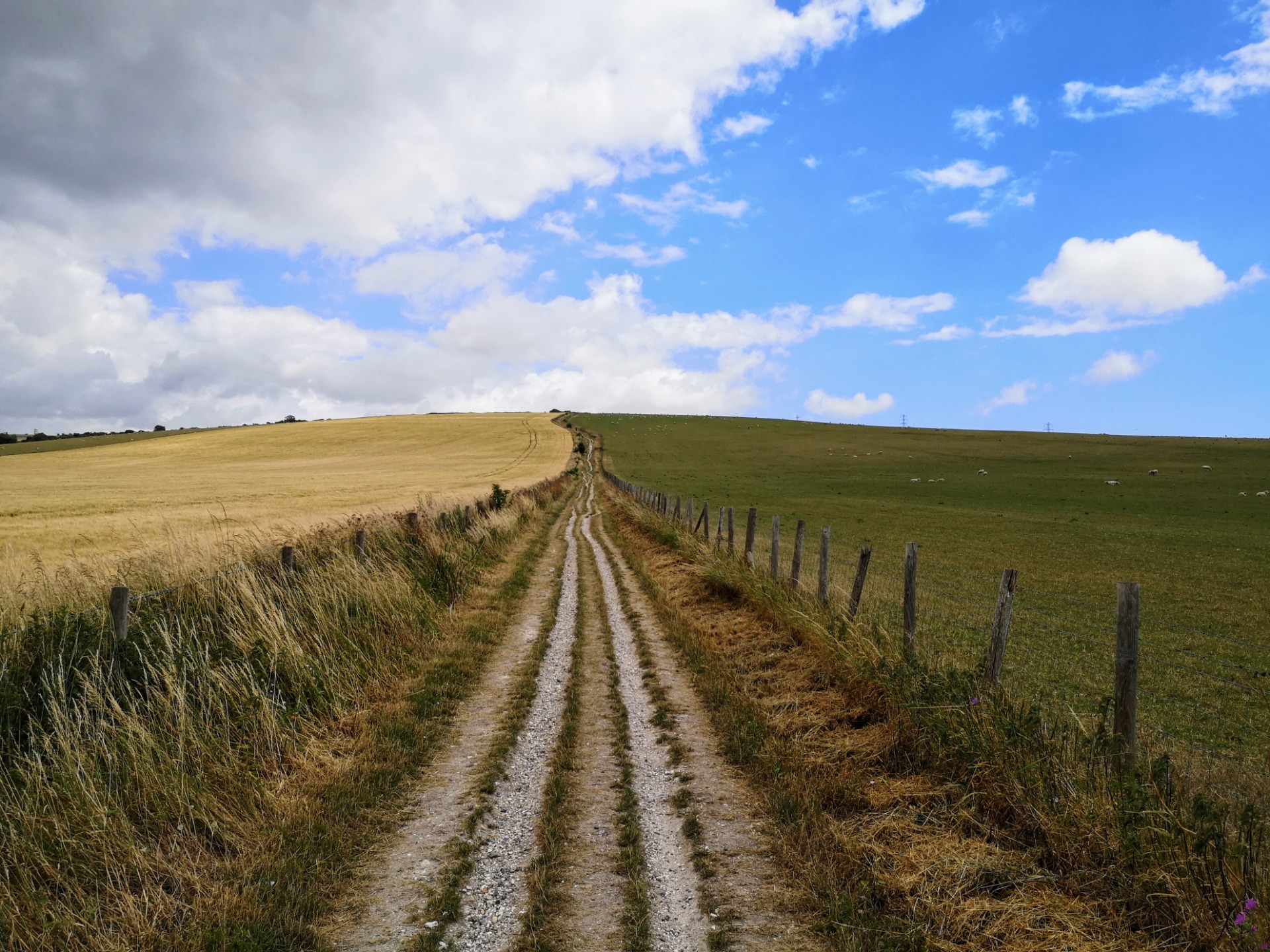 Here's a snap I took in Upper Beeding. I think it looks like different seasons!